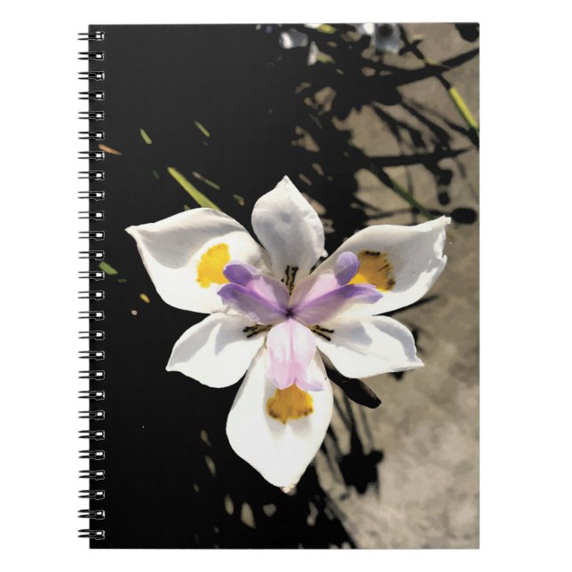 Cuaderno Flor de estrella (Frente)