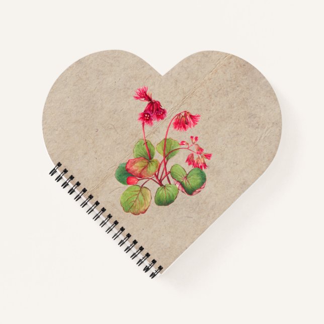 Cuaderno Flor de galax con bordes (Anverso)