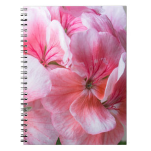 Cuaderno Flor de geranio rosa