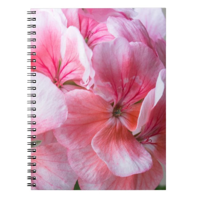 Cuaderno Flor de geranio rosa (Frente)