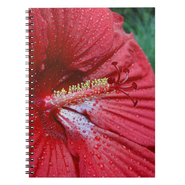 Cuaderno Flor de Hibiscus con lluvia foto (Frente)