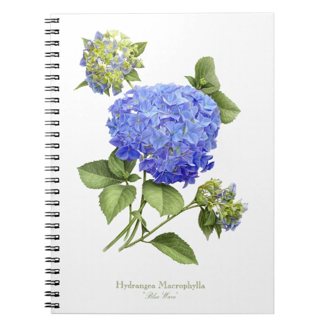 Cuaderno Flor de Hortensia Azul (Frente)