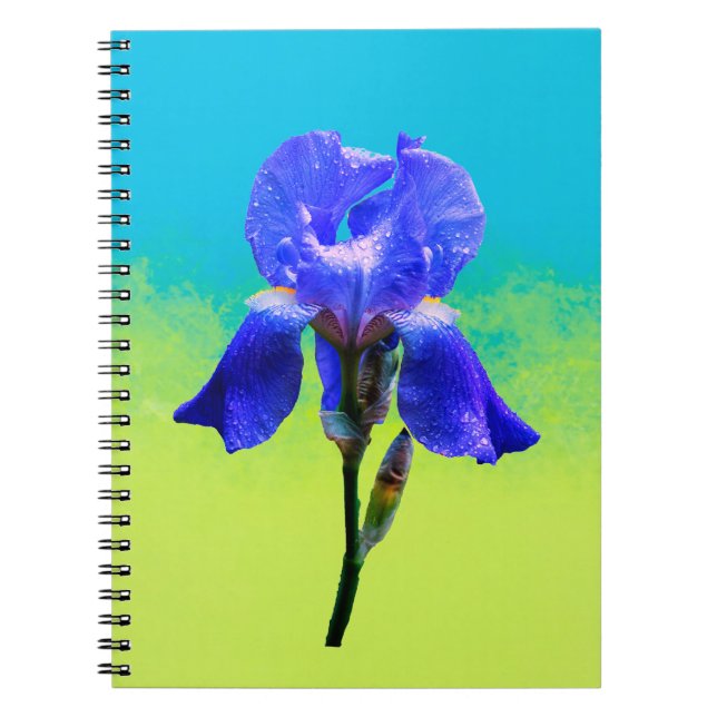 Cuaderno flor de iris (Frente)