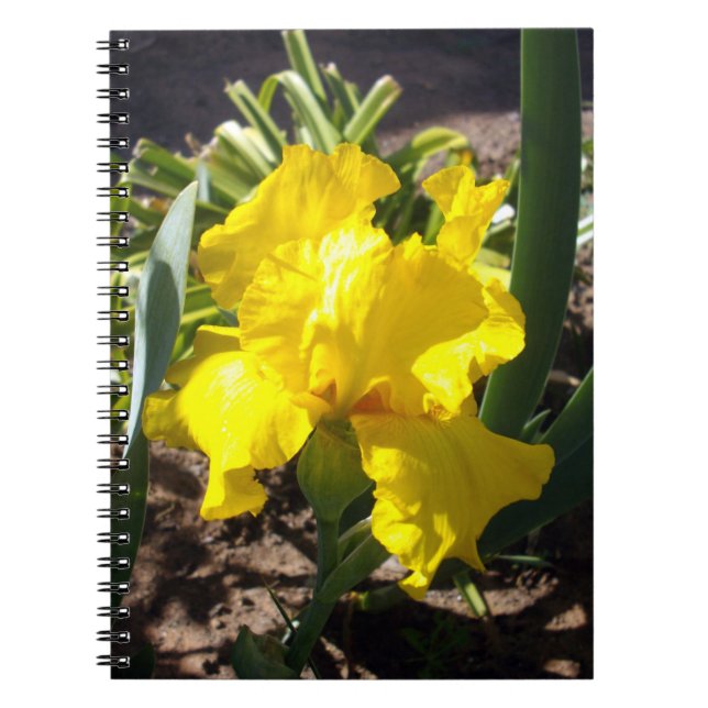 Cuaderno Flor de iris amarillo brillante, portátil (Frente)