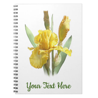 Cuaderno Flor de iris con barba amarilla