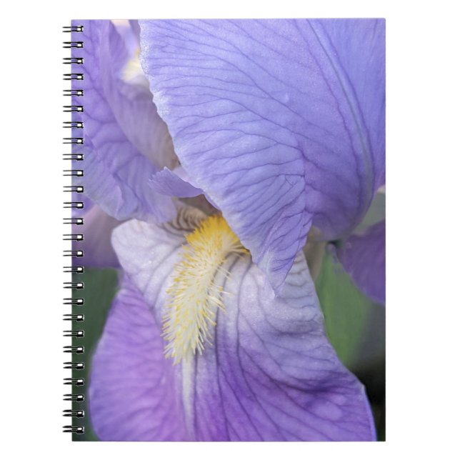 Cuaderno Flor de Iris Púrpura Floral (Frente)