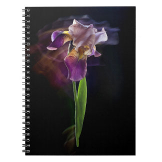Cuaderno Flor de iris sobre un fondo negro. Exposición larg