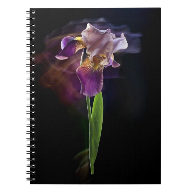 Cuaderno Flor de iris sobre un fondo negro. Exposición larg (Frente)