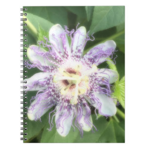 Cuaderno Flor de la Pasión