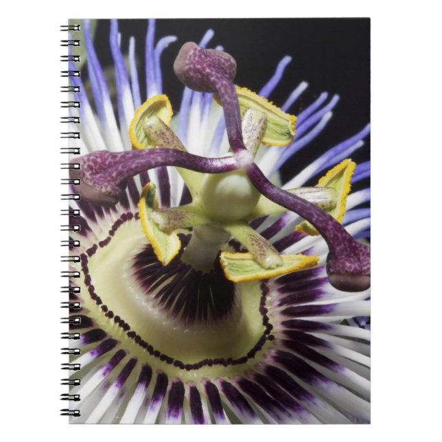 Cuaderno Flor de la pasión en primer plano (MR) (Frente)