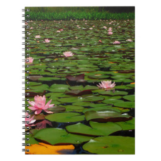 Cuaderno Flor de lirio de agua de loto rosa