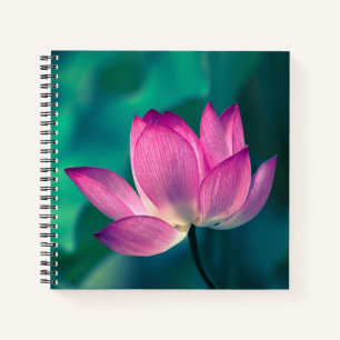 Cuaderno Flor de lirio de agua de Lotus