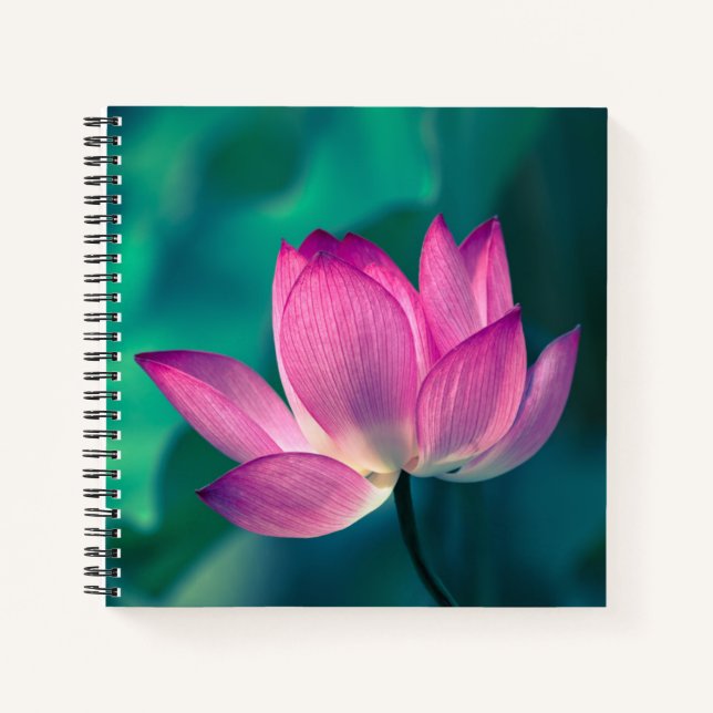 Cuaderno Flor de lirio de agua de Lotus (Anverso)