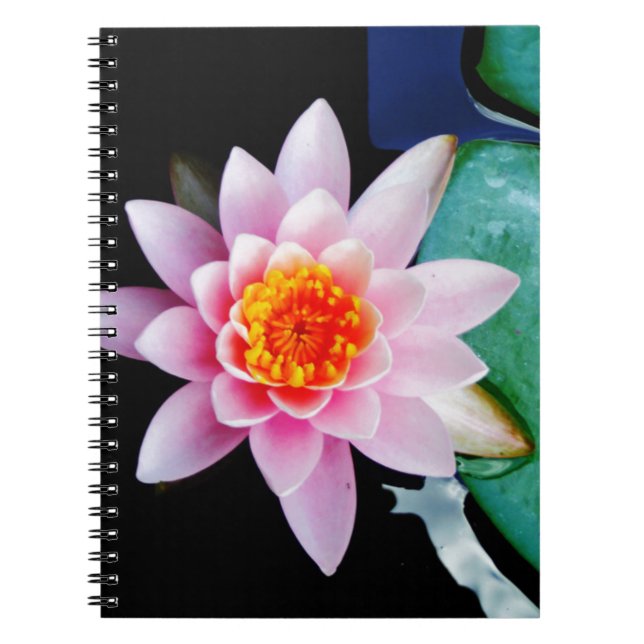 Cuaderno Flor de lirio de agua rosada y naranja caliente (Frente)