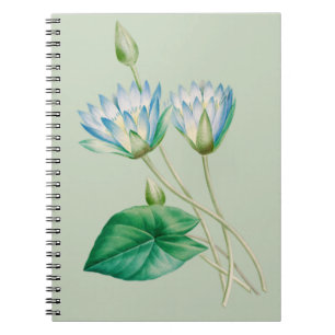Cuaderno Flor de Loto Egipcia Vintage