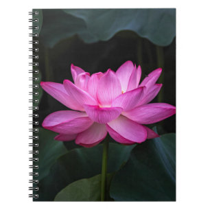 Cuaderno Flor de Lotus