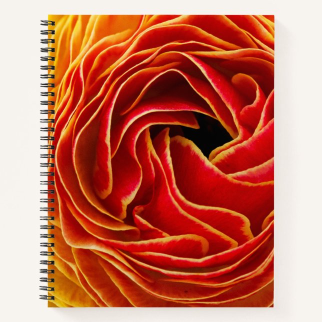 Cuaderno Flor de macro | Campos de flores Carlsbad, CA (Anverso)