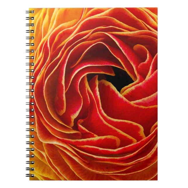 Cuaderno Flor de macro| Campos de flores Carlsbad, CA (Frente)