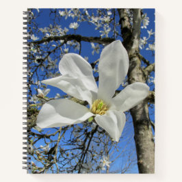 Cuaderno Flor de magnolia blanca en el árbol.