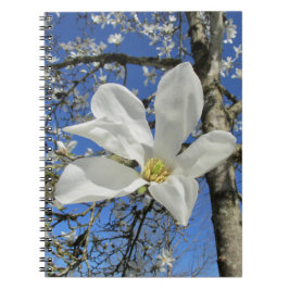 Cuaderno Flor de magnolia blanca en el árbol.