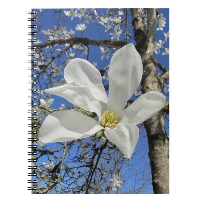 Cuaderno Flor de magnolia blanca en el árbol. (Frente)