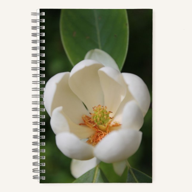 Cuaderno flor de magnolia blanca fotográfica - revista (Anverso)
