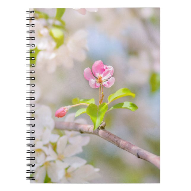 Cuaderno Flor de manzana - Belleza (Frente)
