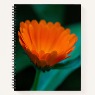 Cuaderno flor de margarita naranja