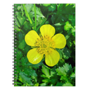 Cuaderno Flor de mariposa vibrante.