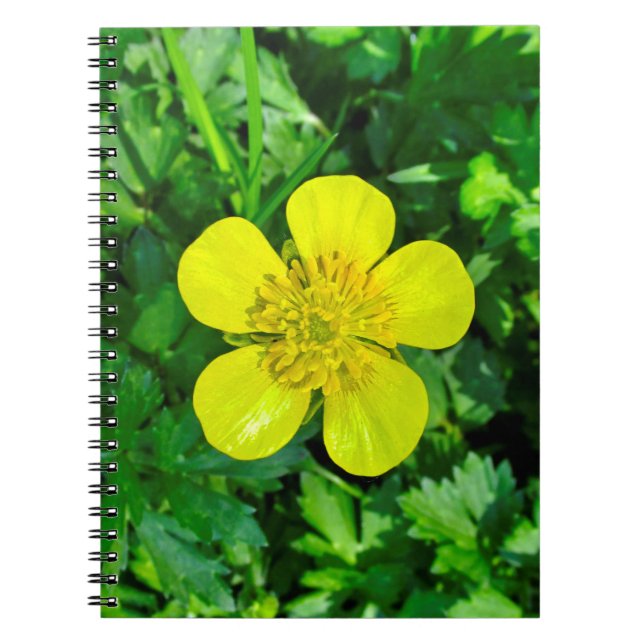 Cuaderno Flor de mariposa vibrante. (Frente)