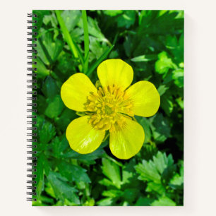 Cuaderno Flor de mariposa vibrante.