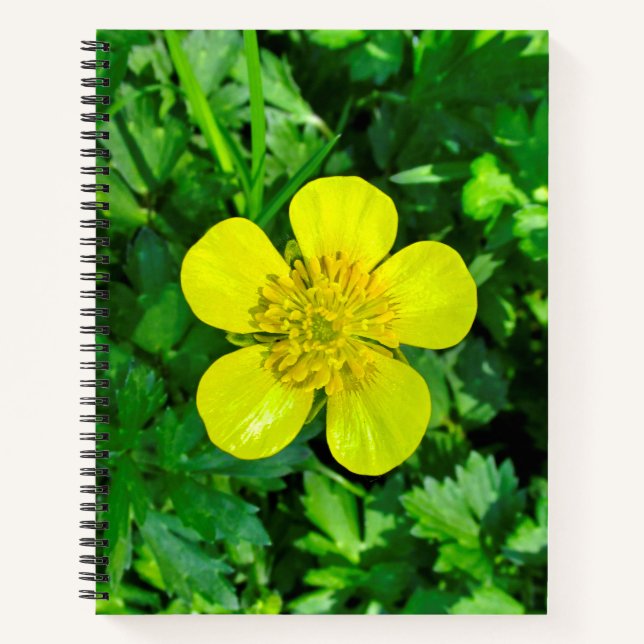 Cuaderno Flor de mariposa vibrante. (Anverso)