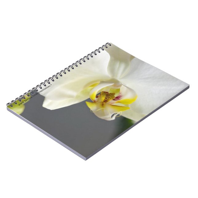 Cuaderno Flor de orquídea blanca (Lado Izquierdo)