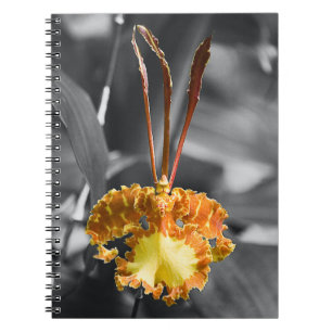 Cuaderno Flor de orquídea de mariposa amarilla