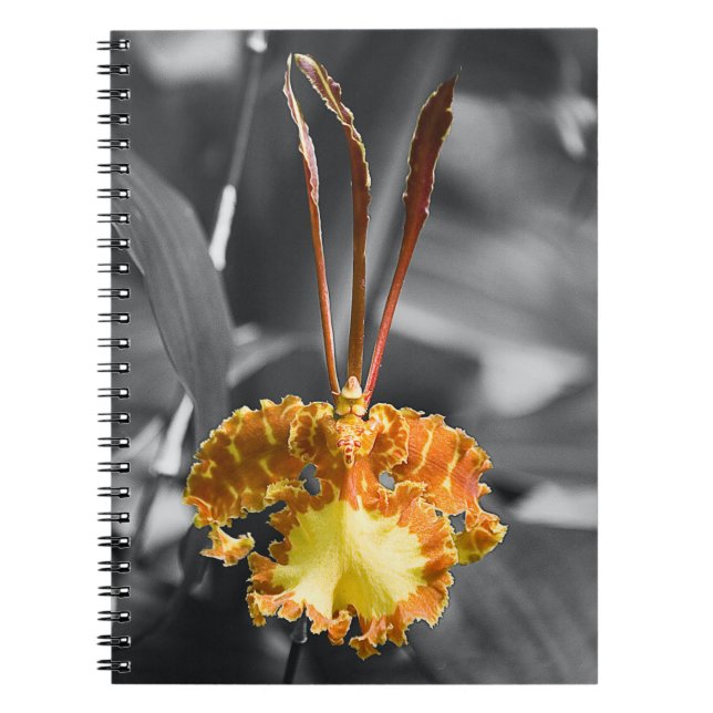 Cuaderno Flor de orquídea de mariposa amarilla (Frente)
