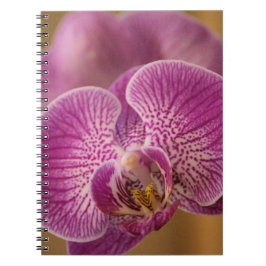 Cuaderno Flor de orquídea rosa