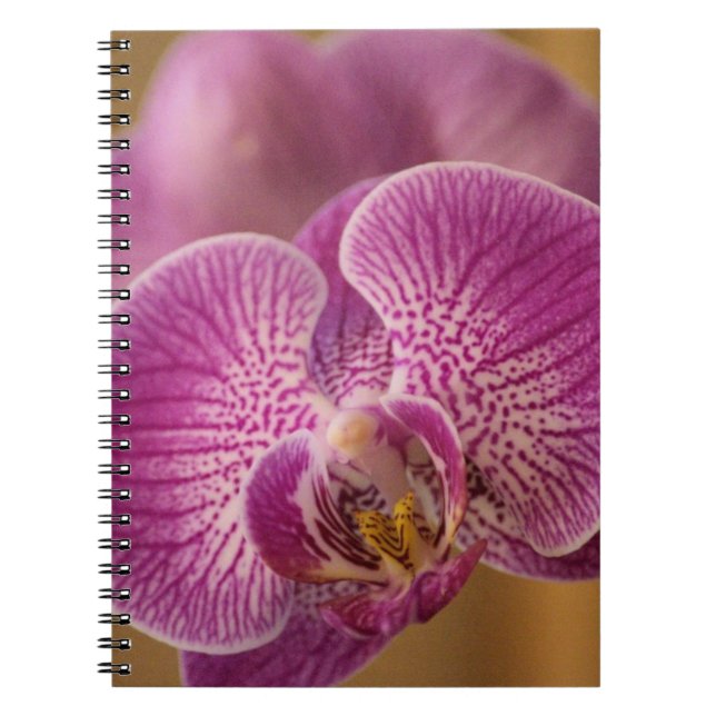 Cuaderno Flor de orquídea rosa (Frente)