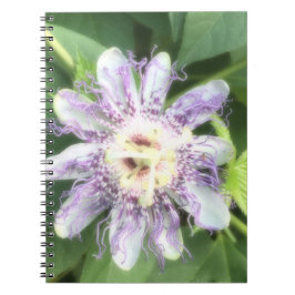 Cuaderno Flor de pasión