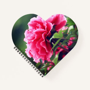 Cuaderno Flor de peones rosados en el jardín-33333