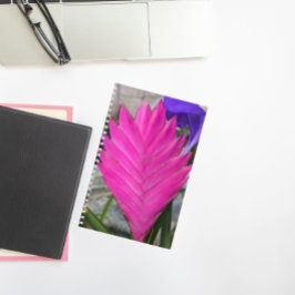 Cuaderno Flor de planta de calderas rosadas