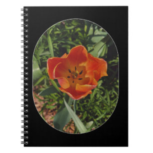 Cuaderno flor de primavera roja