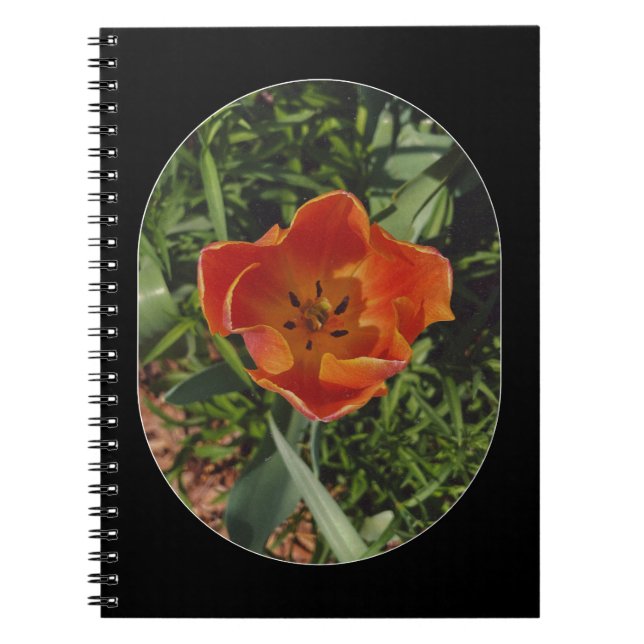 Cuaderno flor de primavera roja (Frente)