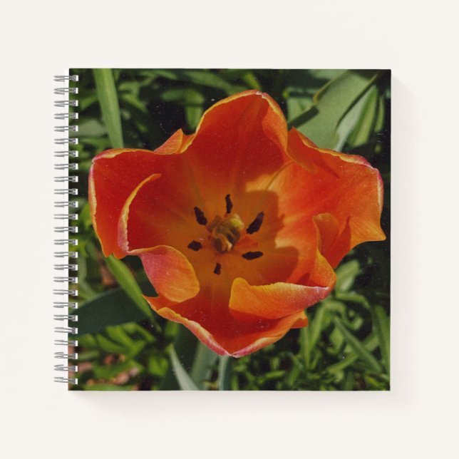 Cuaderno flor de primavera roja (Anverso)