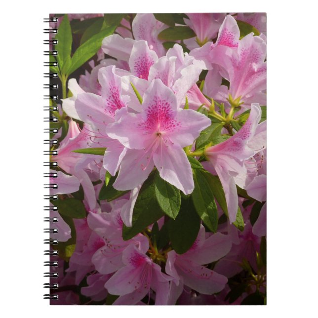 Cuaderno Flor de primavera rosada de Azalea Bush (Frente)