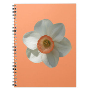 Cuaderno Flor de primavera rosada de Daffodil