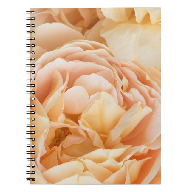 Cuaderno Flor de rosa amarilla (Frente)