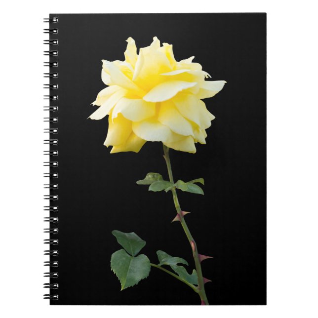 Cuaderno Flor de rosa amarilla (Frente)