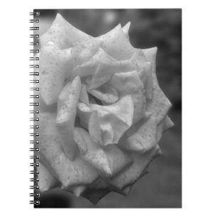 Cuaderno Flor De Rosa En Balcón