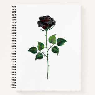 Cuaderno Flor de rosa negra