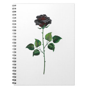 Cuaderno Flor de rosa negra